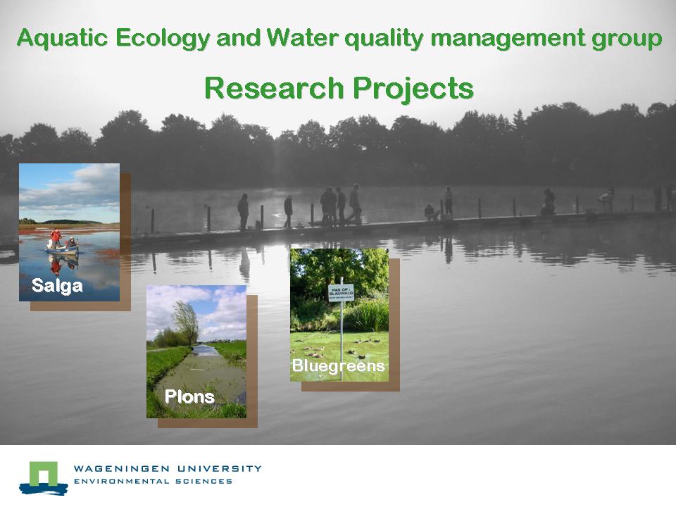 AEW Projects Start